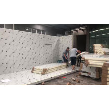 Wholesale Pu sandwich panel, panel for cold storage, cold room insulation panel.